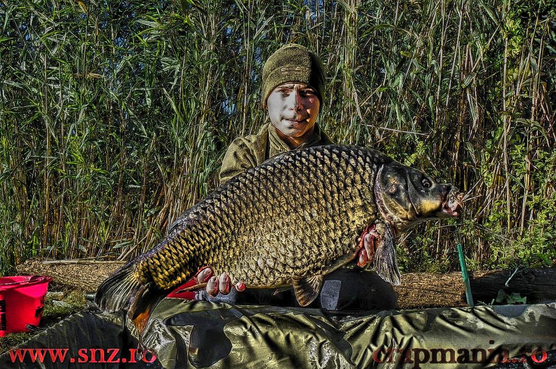 Debutmania - 2013 (1) - 1030275hdrmode2.JPG